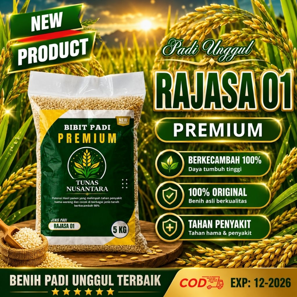 Benih padi unggul RAJASA 01 kemasan 5kg original