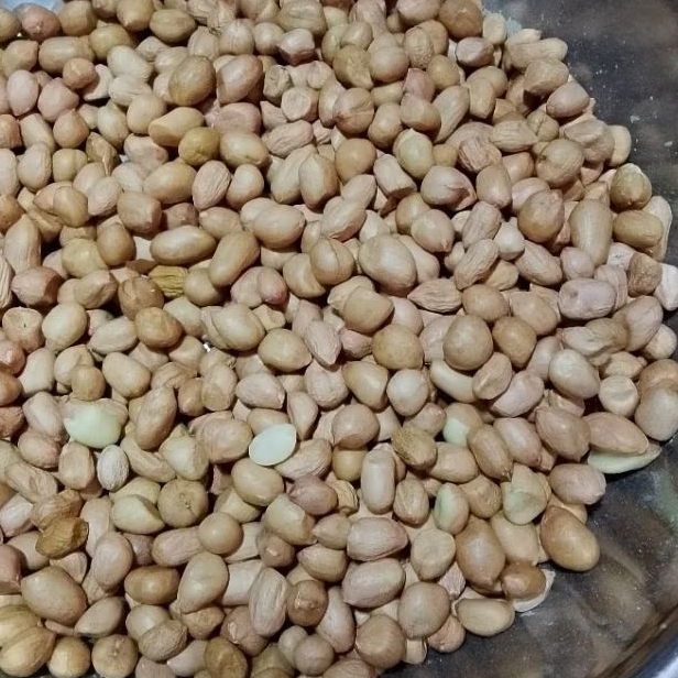 kacang biji kiloan(kacang biji kiloan kuwalitas terbaik)