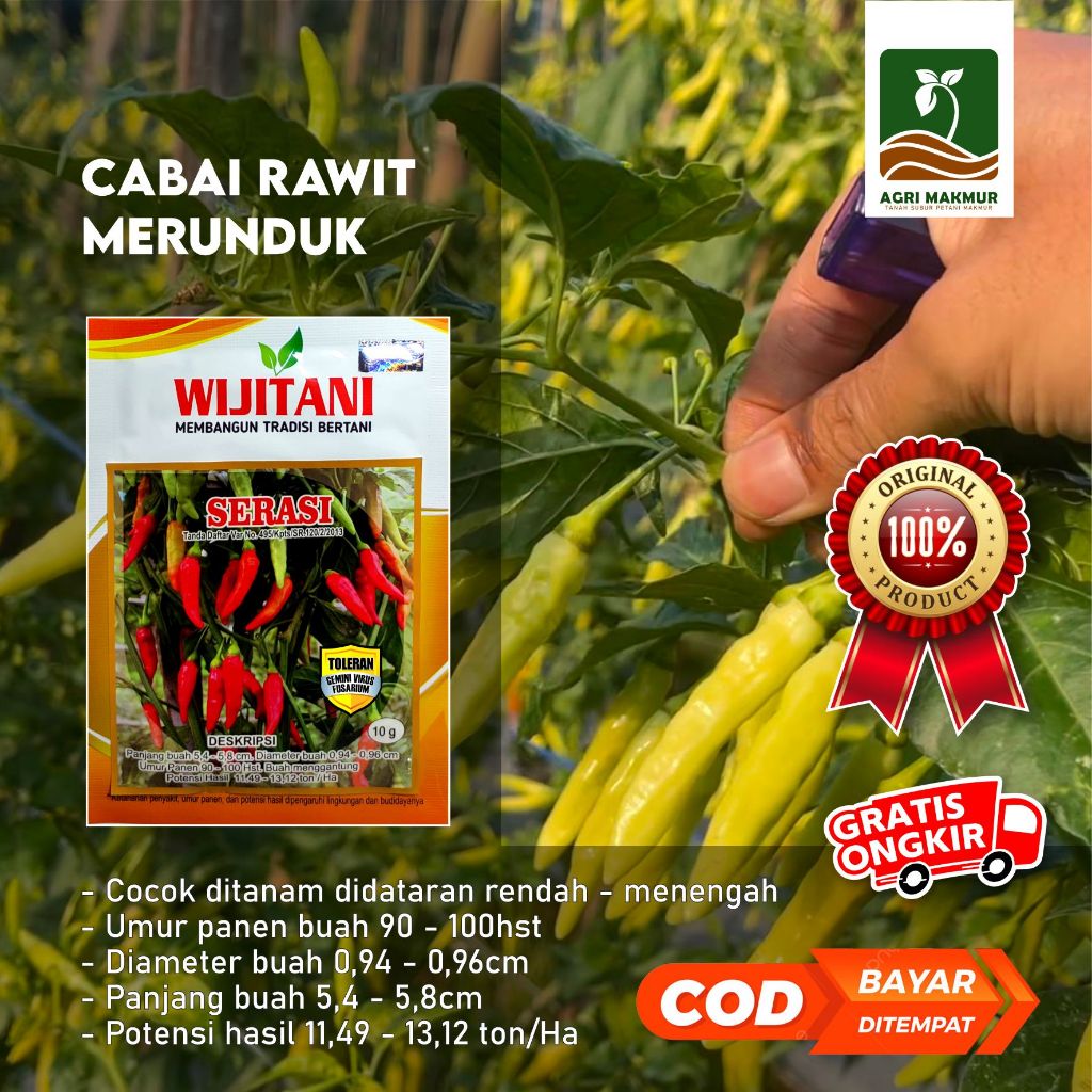 Benih Cabai Serasi Wijitani Seed - Cabai Rawit Merunduk 10gr