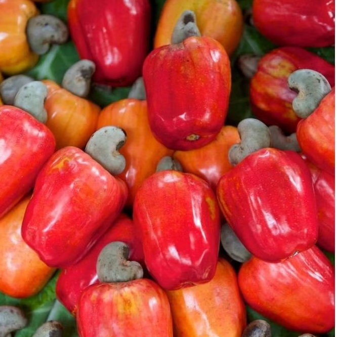 jambu mente/jambu monyet ½ kg
