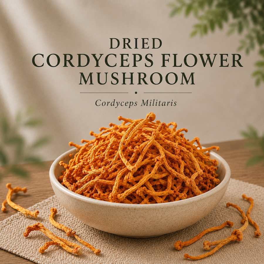 Cordyceps Militaris / Cordyceps Flower / Jamur Cordyceps / Chóng Cǎo Huā