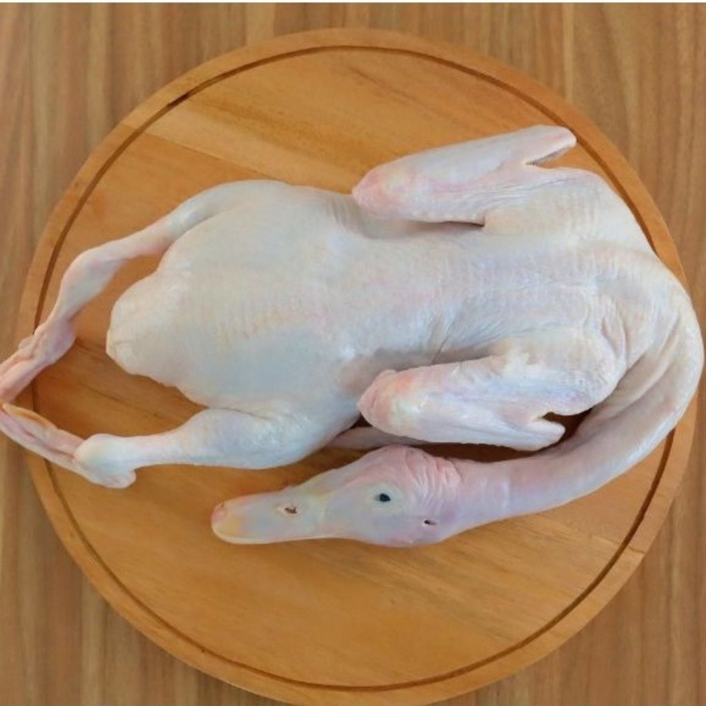 Daging Bebek utuh 1,1 Kg Premium