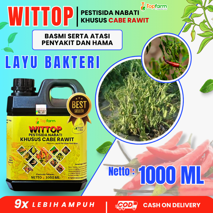 Obat Layu Bakteri Pada Cabe / Obat Penyakit Layu Cabe / Pestisida Pengendali Penyakit / Pestisida Ba