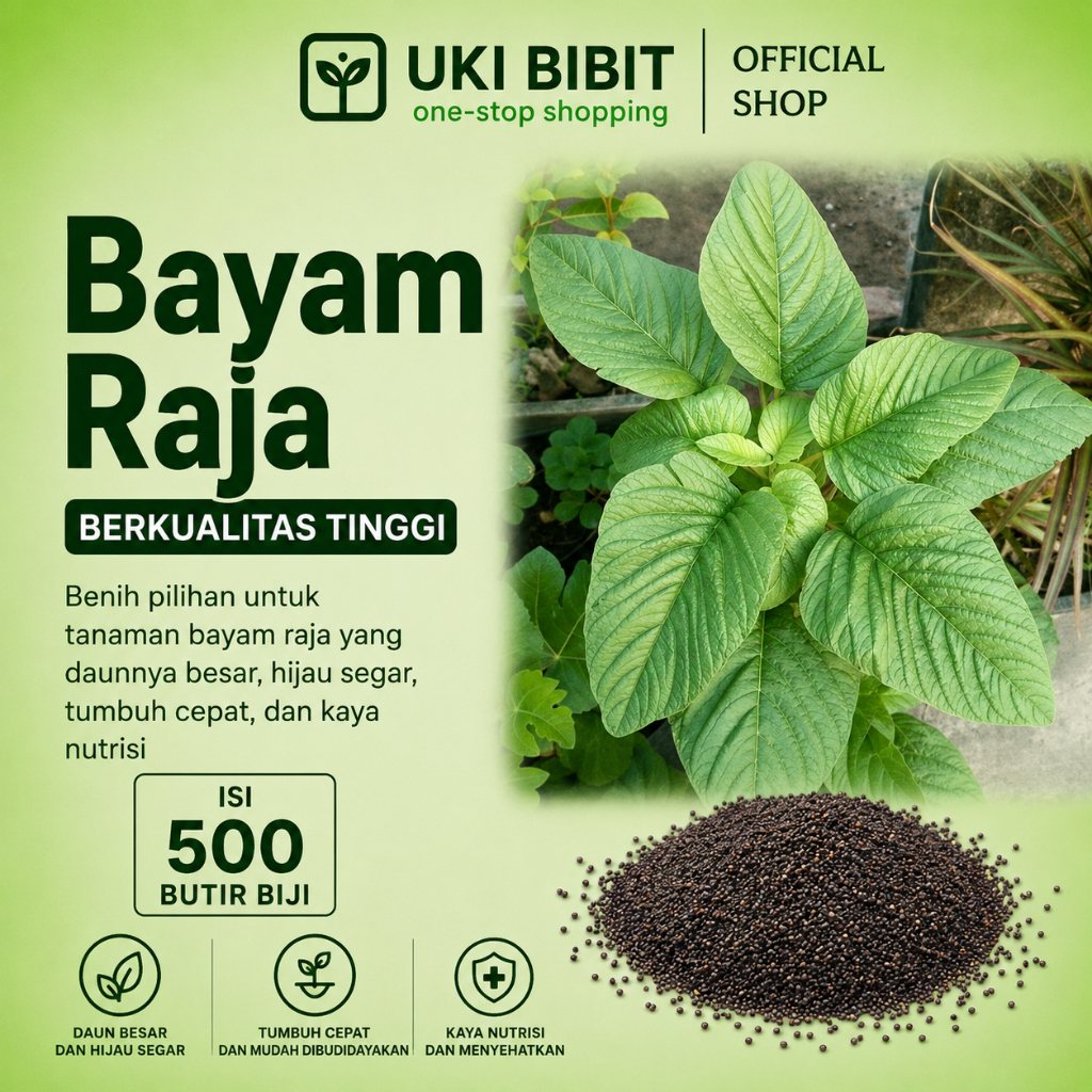 ( 500 Butir ) Benih Biji Bayam Raja | Bayam Petik | Bayam Kakap
