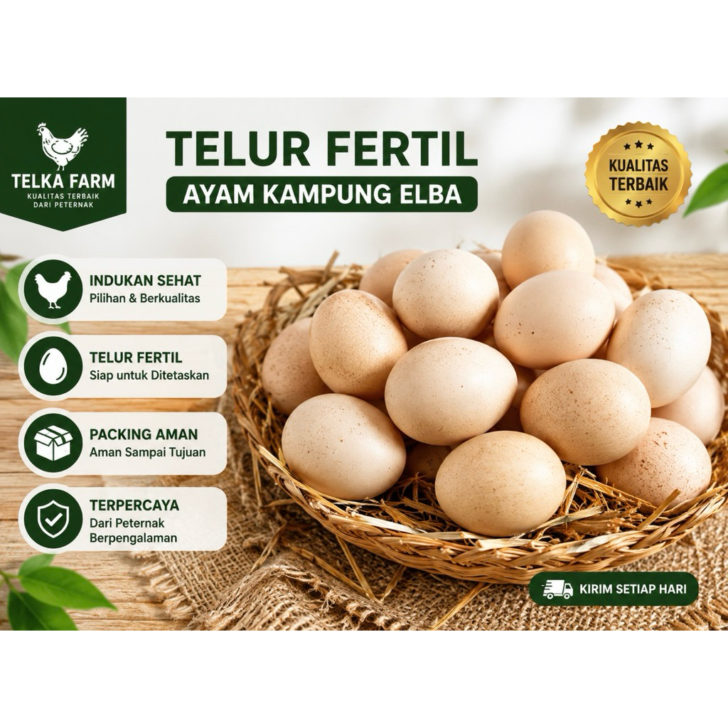 Telur Fertil ELBA Original | Telur Tetas Ayam Kampung Unggul | Indukan Berkualitas | Packing Anti Pe