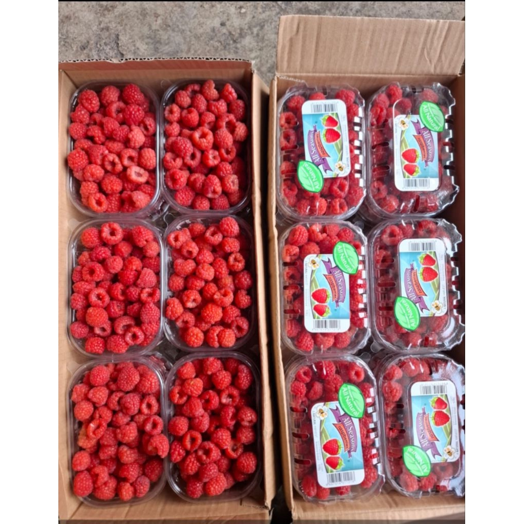 Buah raspberry raspberries all season / Buah Raspberry Fresh 170 gr / Pack