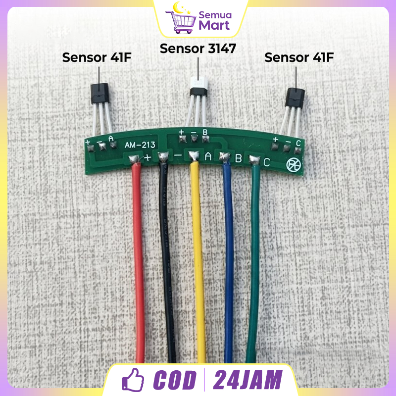 Sensor Hall Sepeda Listrik 3147 Hall Sensor 213 3147 5 Kabel Modul PCB BLDC Motor Listrik AM-213