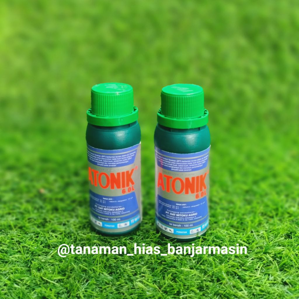 Atonik/ Vit B1