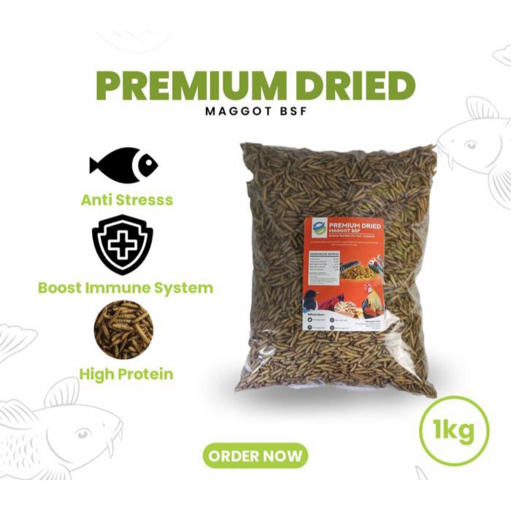 Dried Maggot / Dried Magot / Dry Maggot / Dry Maggot / Kemasan 500 gram