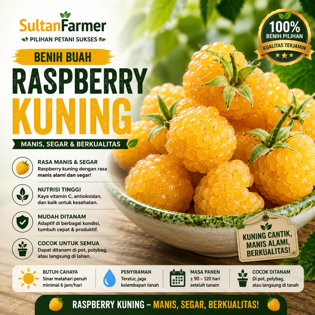 Benih Biji Buah RASPBERRY kuning 100 biji