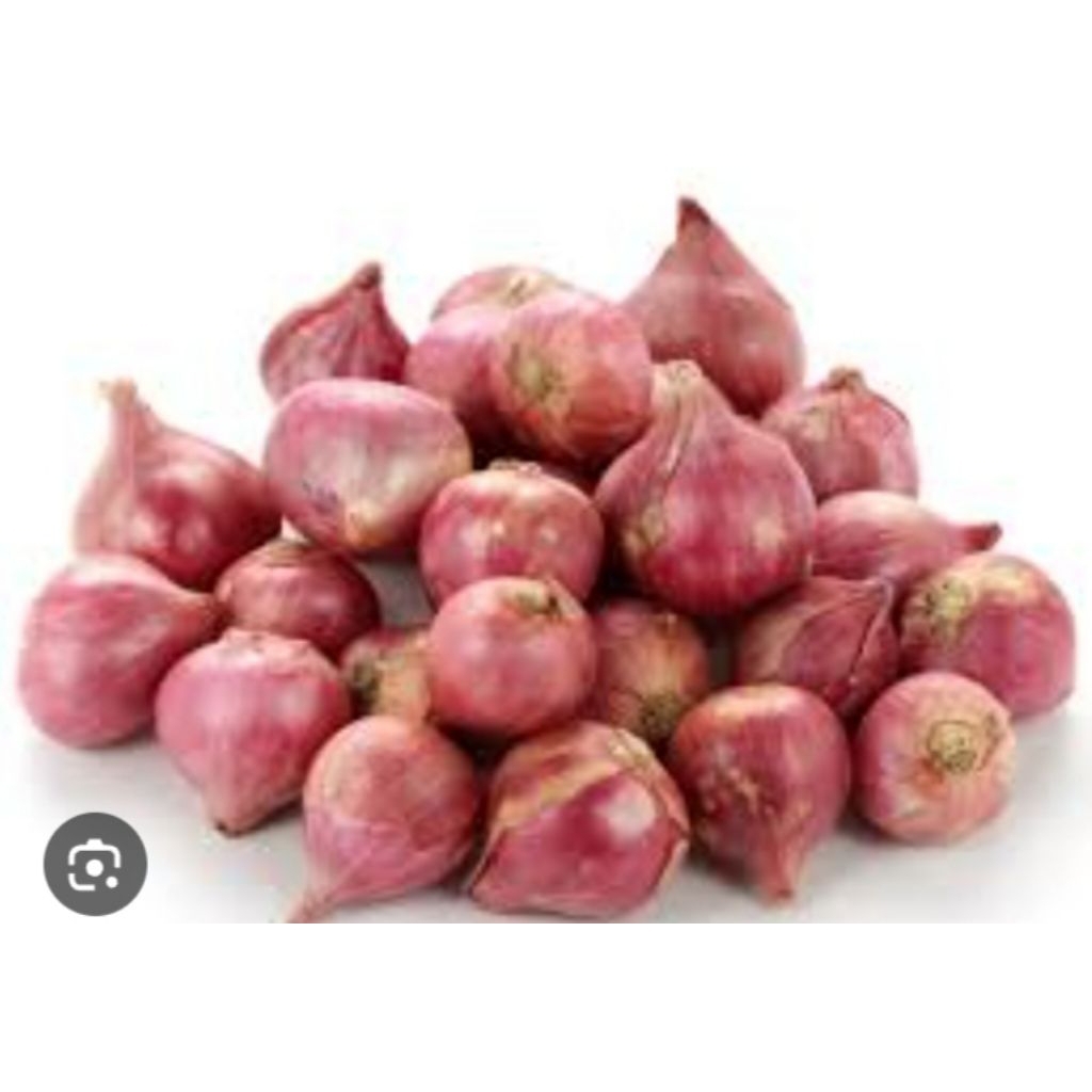 bawang merah super probolinggo