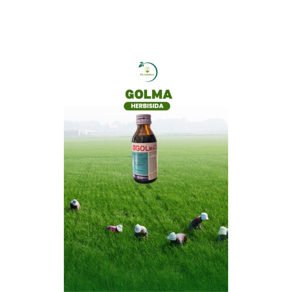 GOLMA 240EC