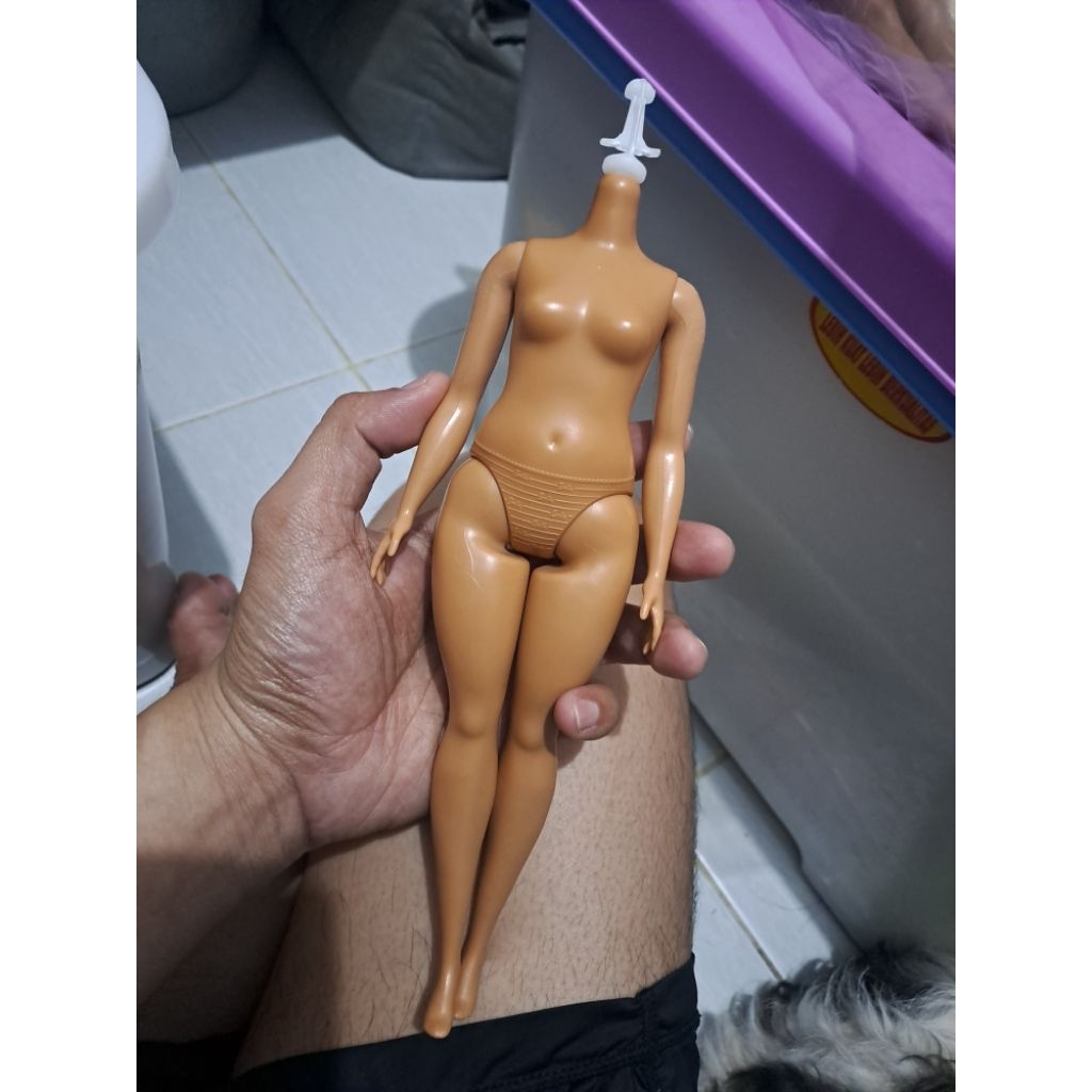 body barbie curvy