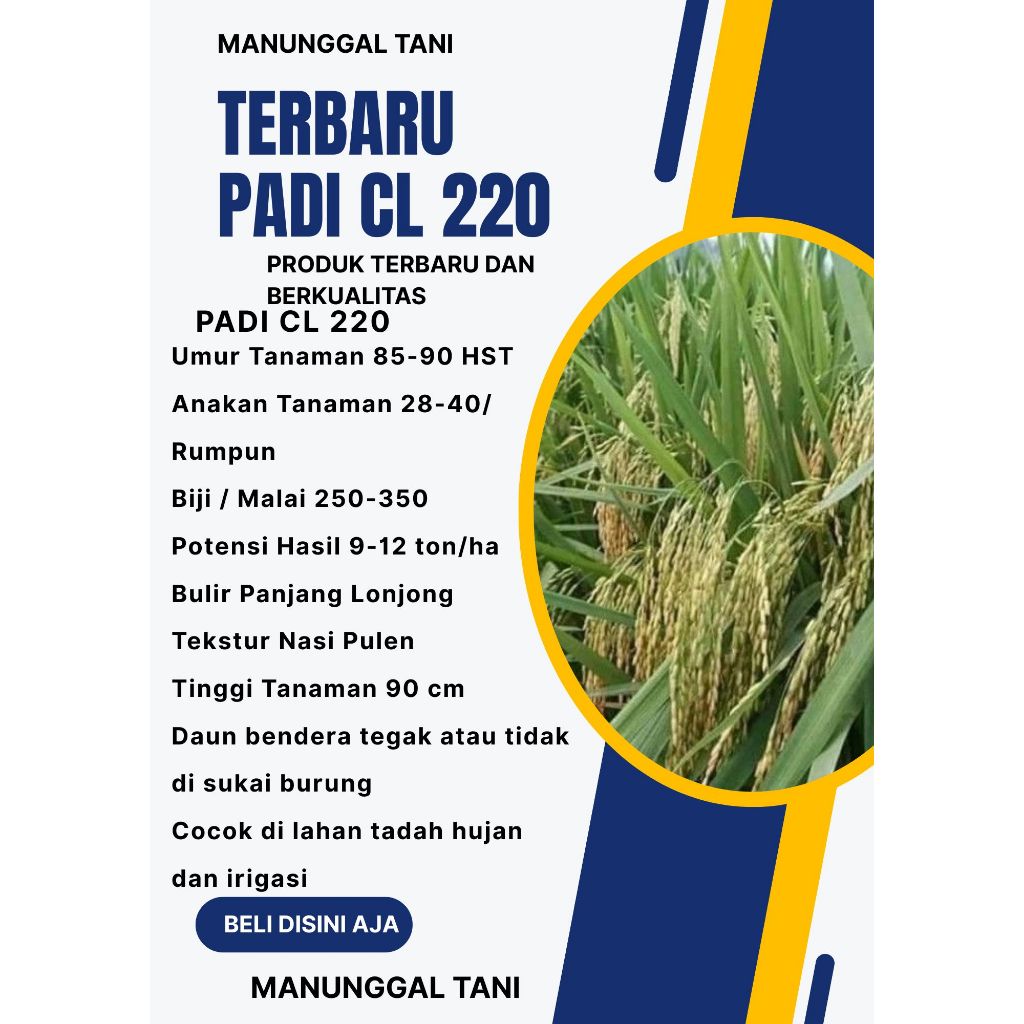 PADI CL 220 KEMASAN 5KG