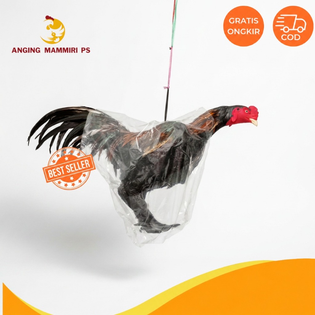 BONEKA AYAM FULL BODY (Boneka Ayam)
