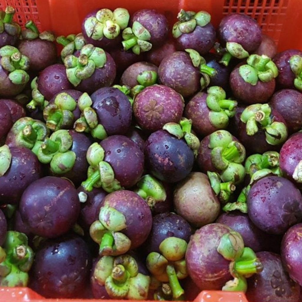 Manggis Export Quality 1Kg