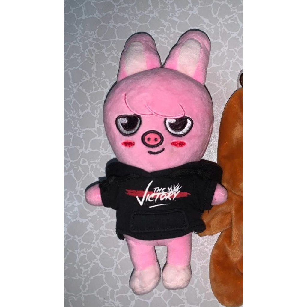 dweakki skzoo straykids merch 15cm preloved
