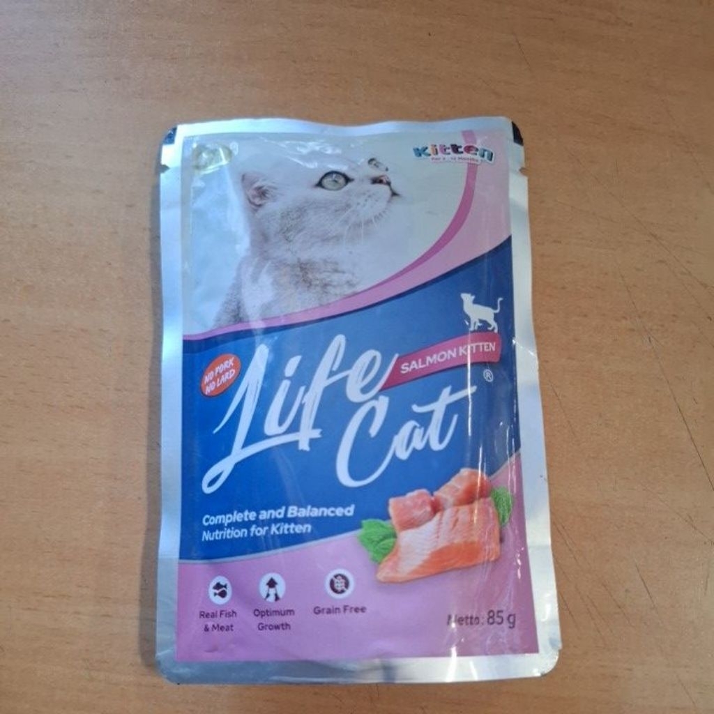 Life cat salmon (kitten)