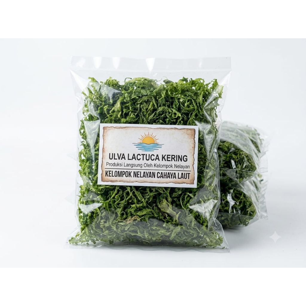 Rumput Laut Ulva Lactuca (Selada Laut) Kering 1 Kg