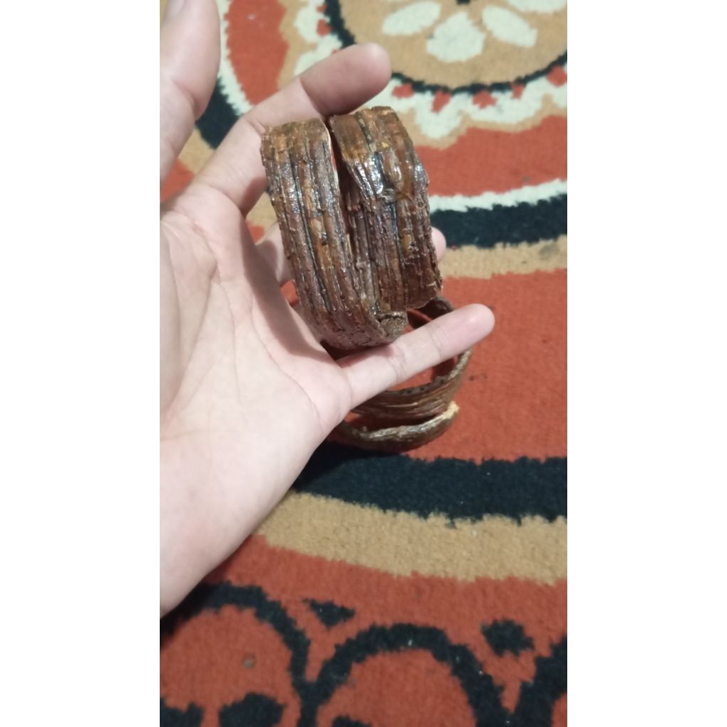 gelang akar hanoman