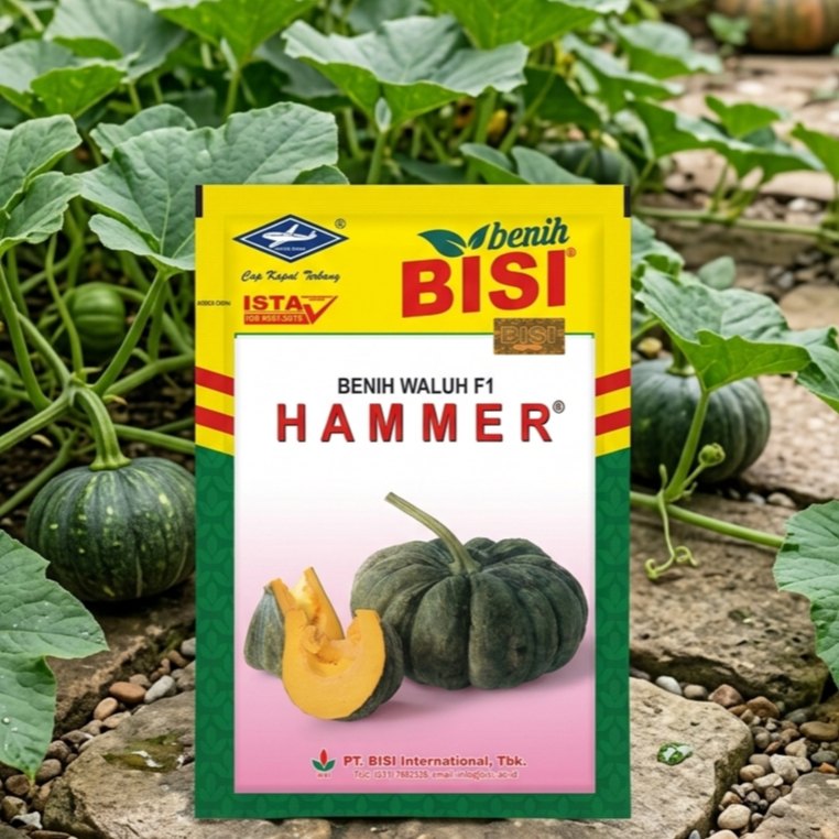 BENIH LABU HAMMER / WALUH HAMMER 10GR BISI EXP 03 2027