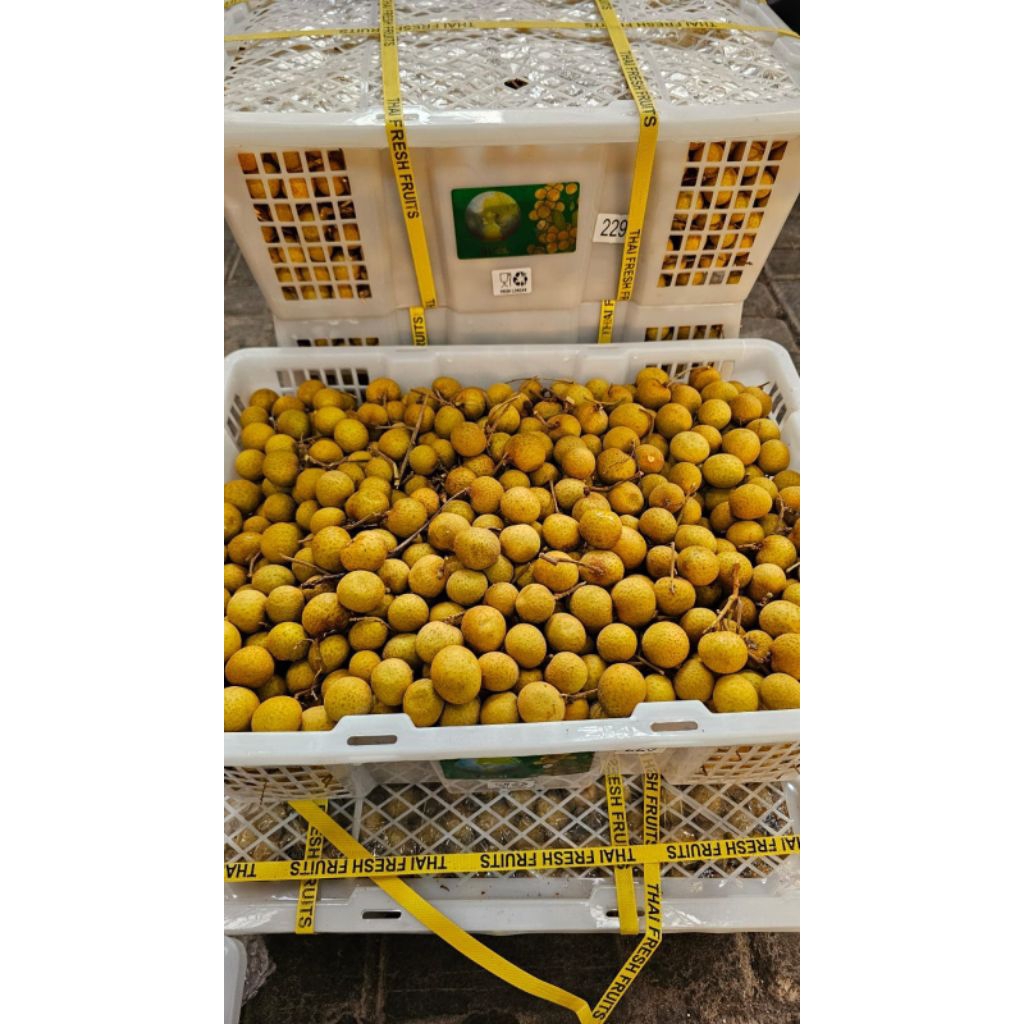 Kelengkeng Bangkok 1 Krat Berat -+ 12 KG