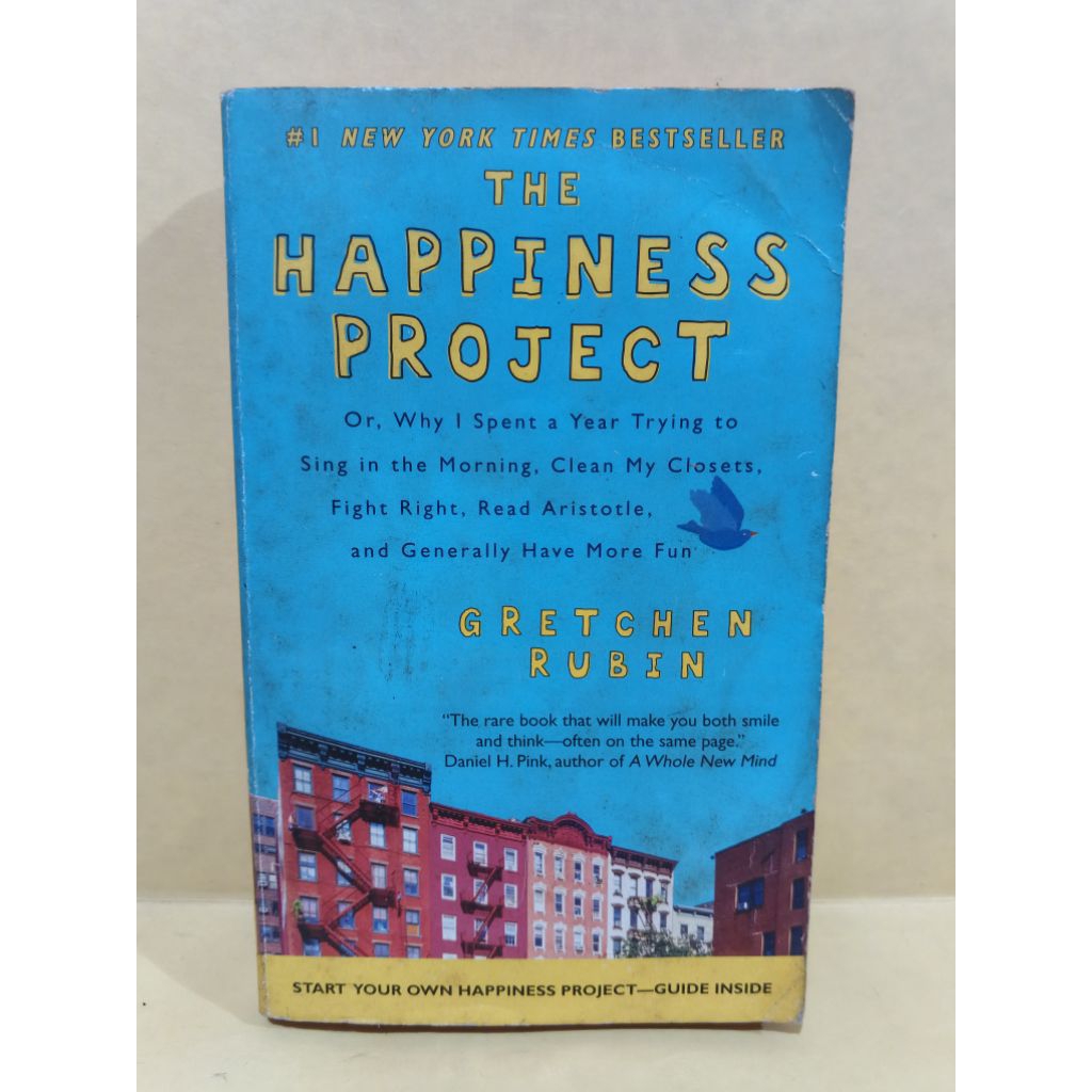 The happiness project