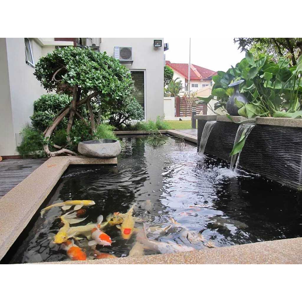 Model Kaca MInimalis Kolam KOI  | Kolam Ikan KOI Model Minimalis