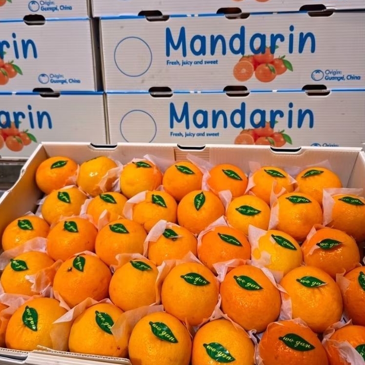 JERUK WOKAM PREMIUM 1 DUS 9KG