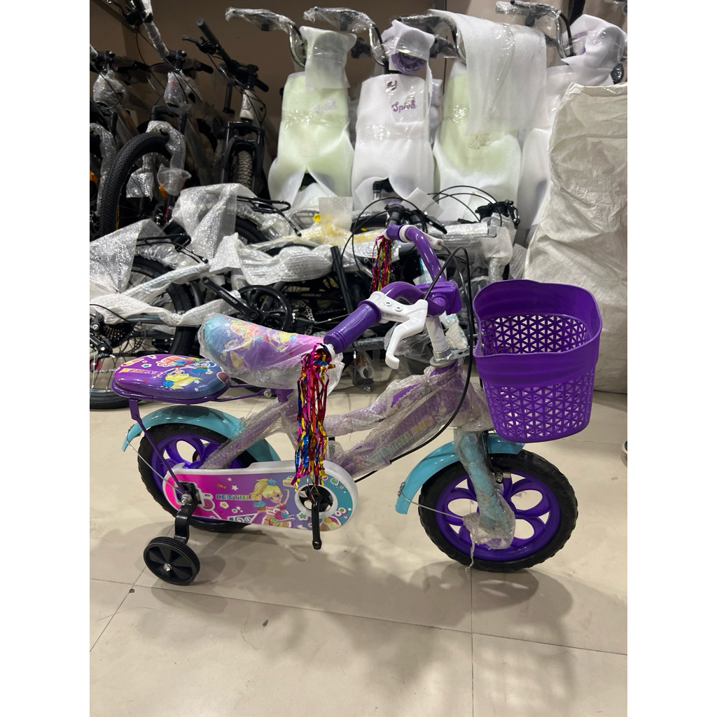 Sepeda mini Ungu spakbor biru 12inch