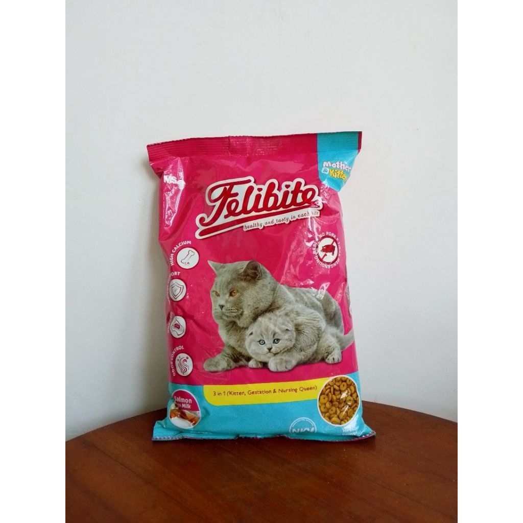 Felibite Mother Kitten