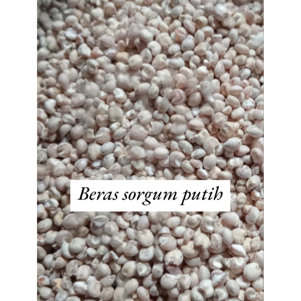 Beras sorgum 1kg