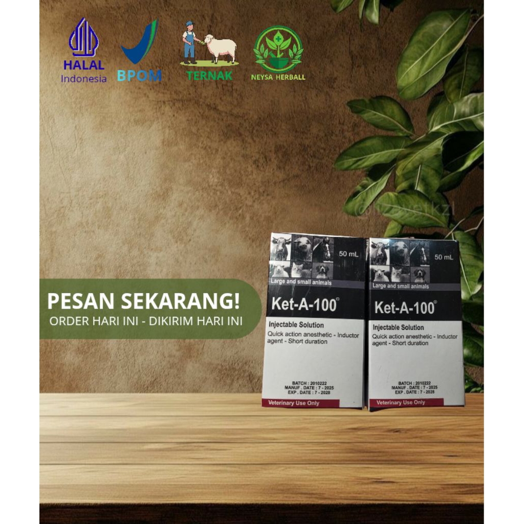 Ket-A-100 obat anestesi (bius) khusus hewan yang mengandung 100 mg ketamin per ml.