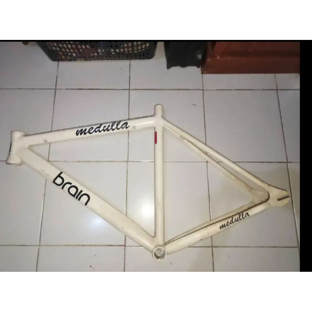 Frame only brain medulla