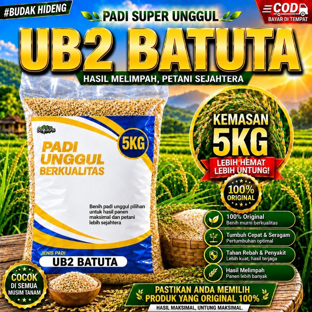 benih padi ub 2 batuta 5kg berkualitas