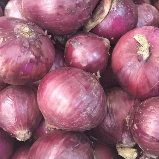 Bawang Bombay Merah 1kg/ Red Onion 1 kg