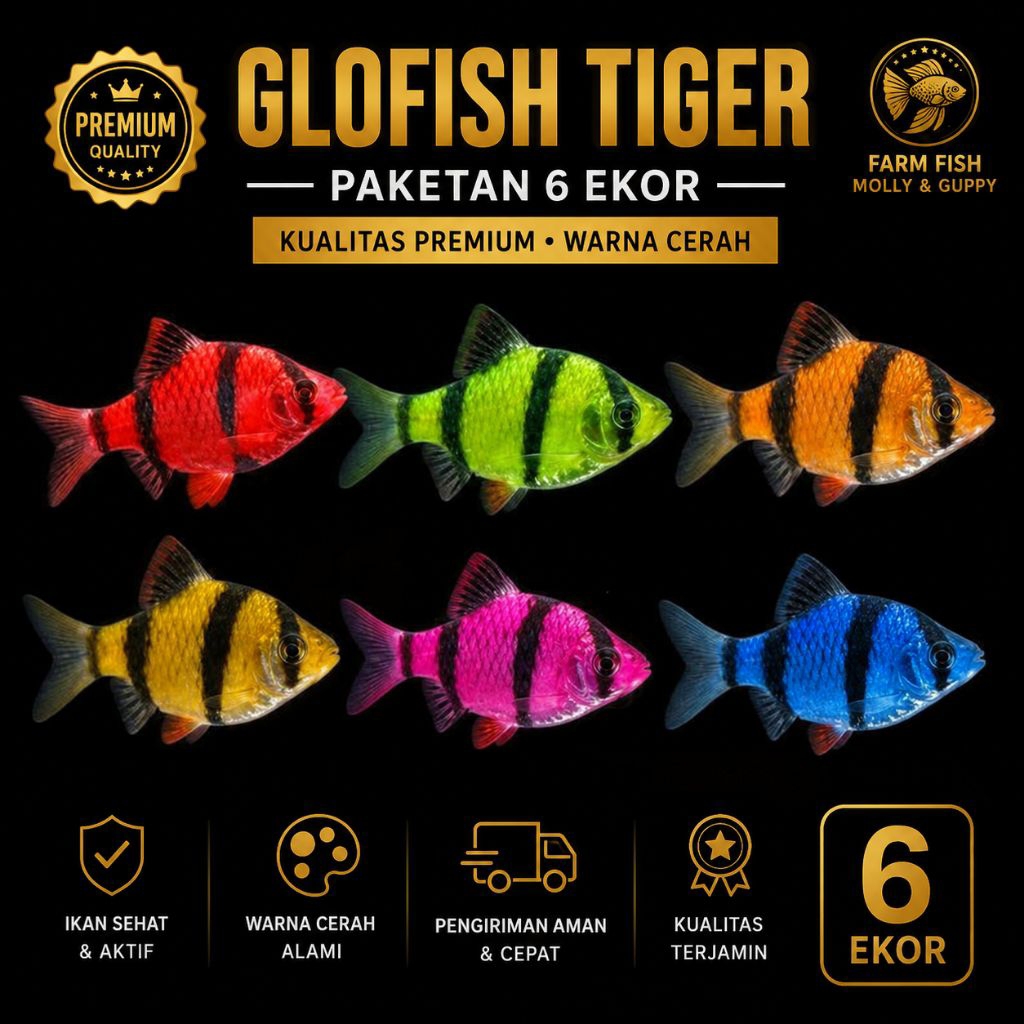 Paketan hiasan aquarium glofish tiger 6 ekor warna cerah