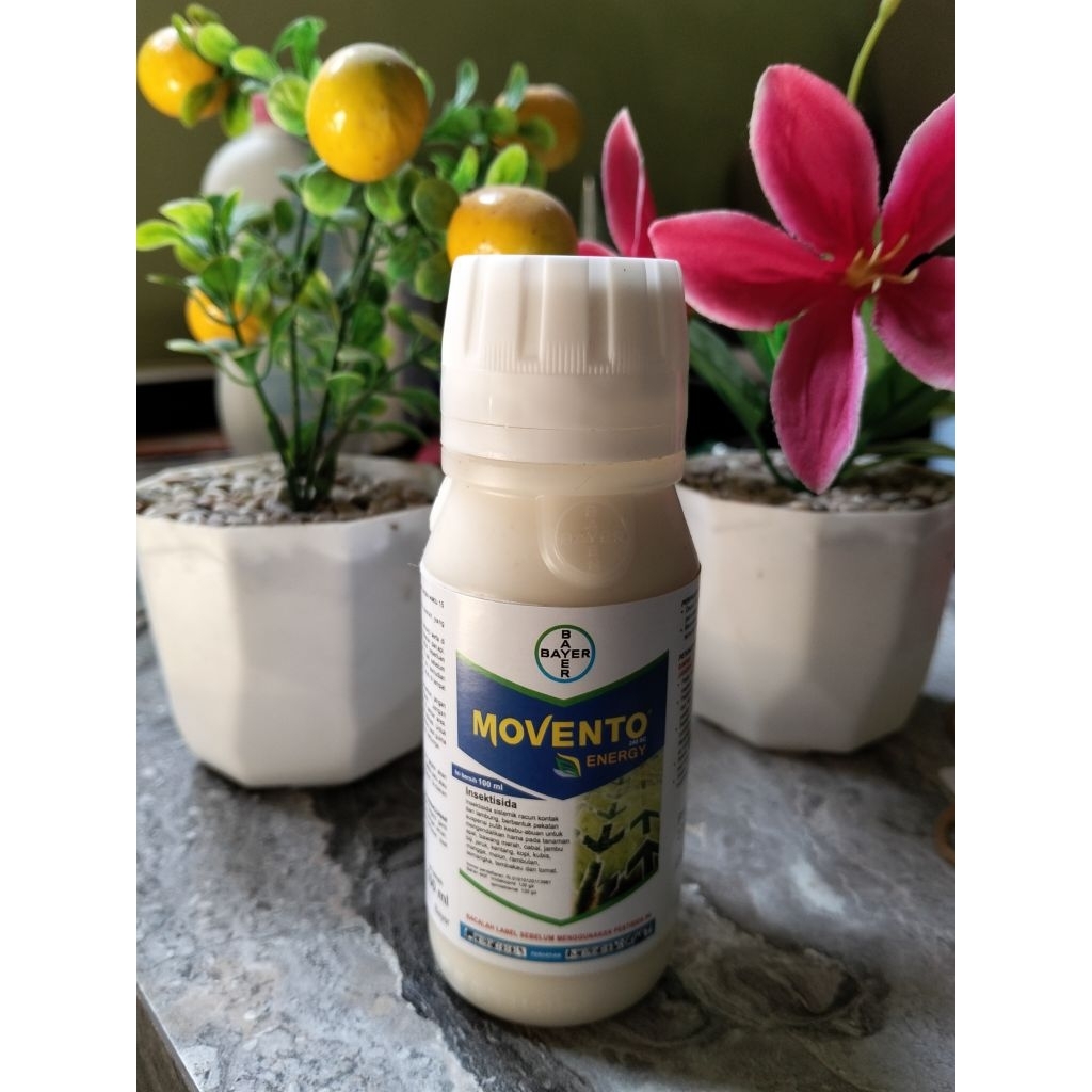 MOVENTO Energi 100ml.