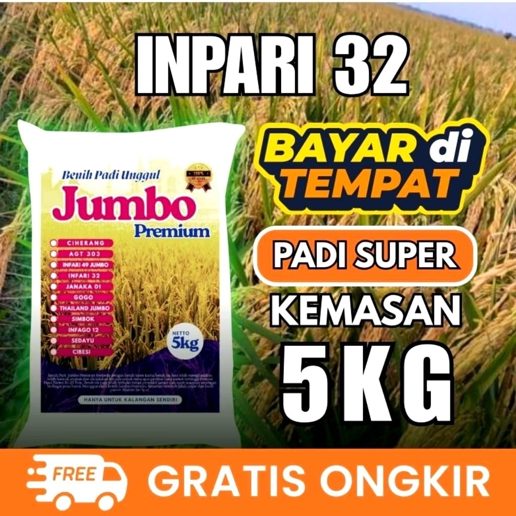 benih Padi Infari 32 kemasan 5kg Asli premium
