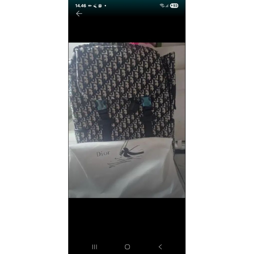 tas ransel dior