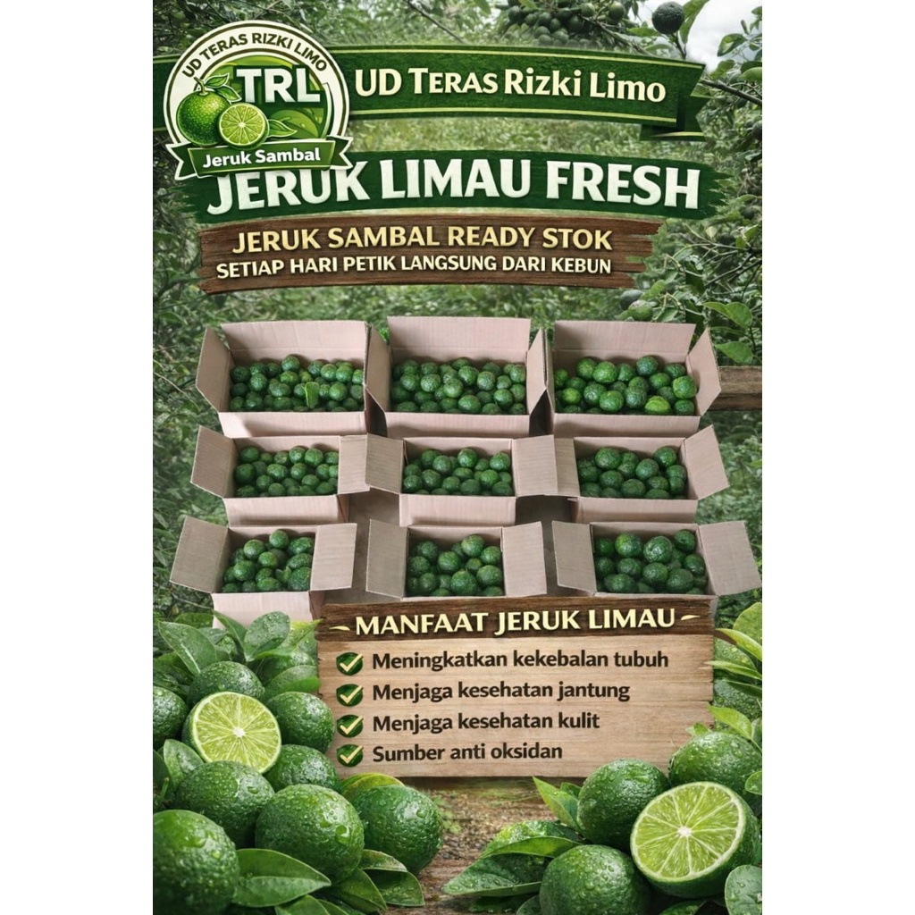 Jeruk Limau/limo fresh 1kg/500gr ukuran besar/sedang/kecil