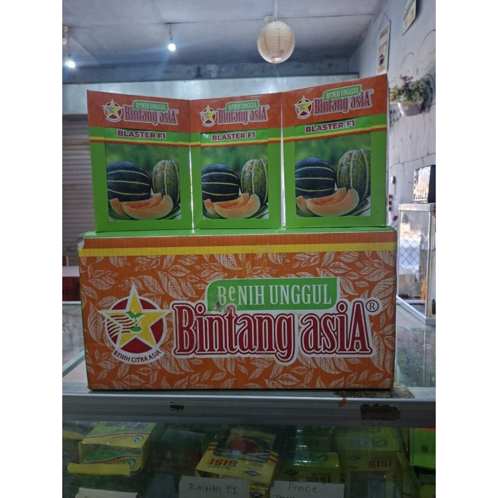 Benih BLEWAH BLASTER 15 gr - Benih BLEWAH dari Bintang Asia