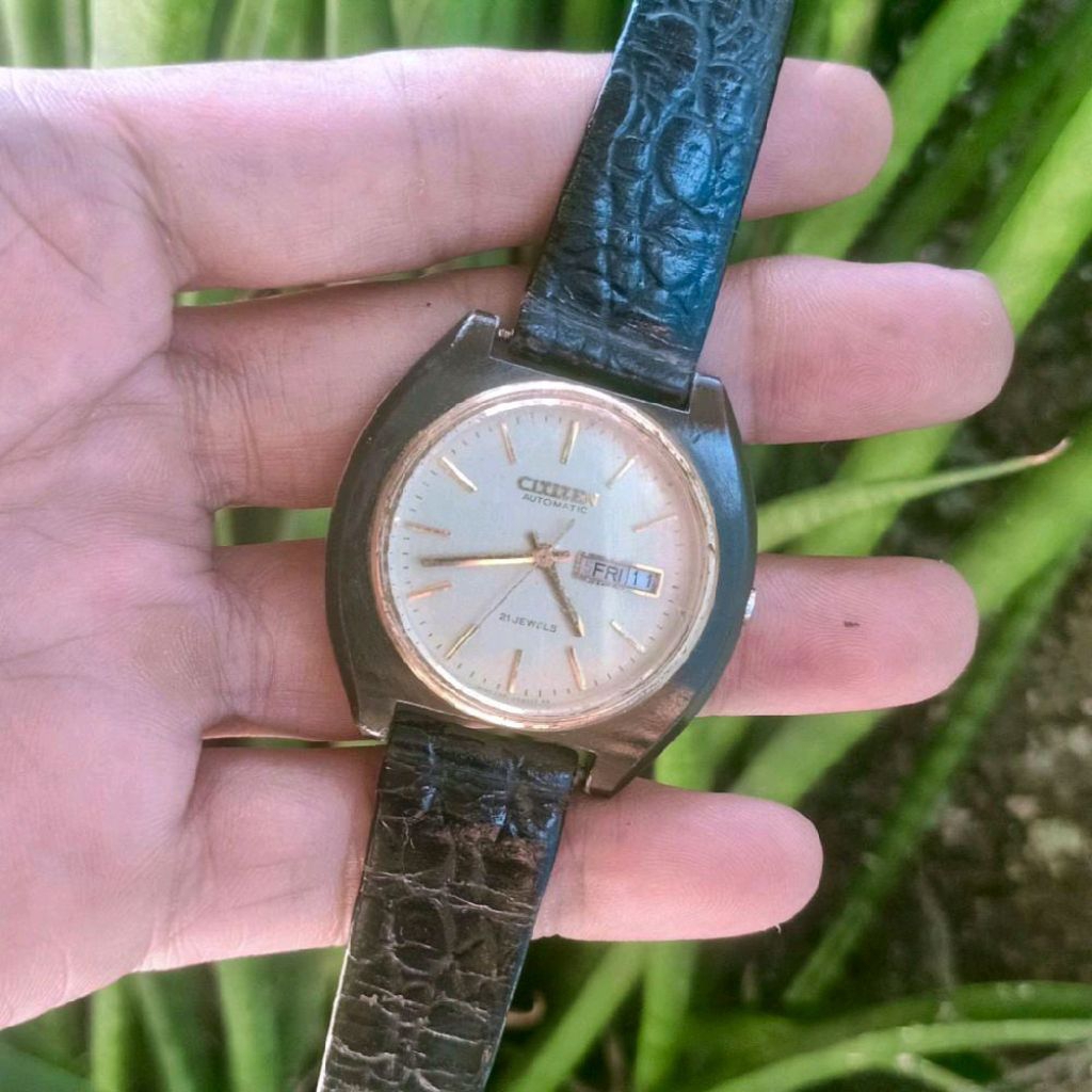 Jam Tangan Original Pria Citizen Matic