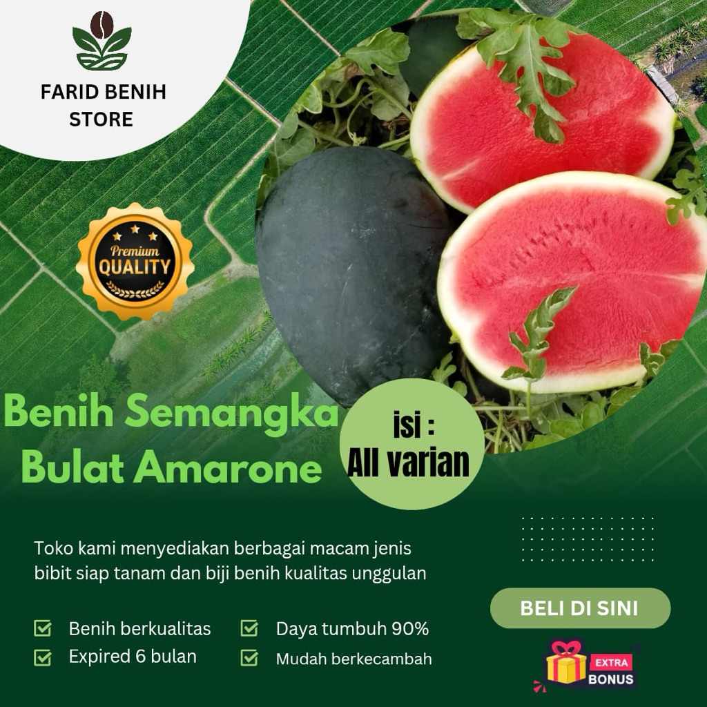 100 biji benih semangka bundar amarone /semangka tanpa biji