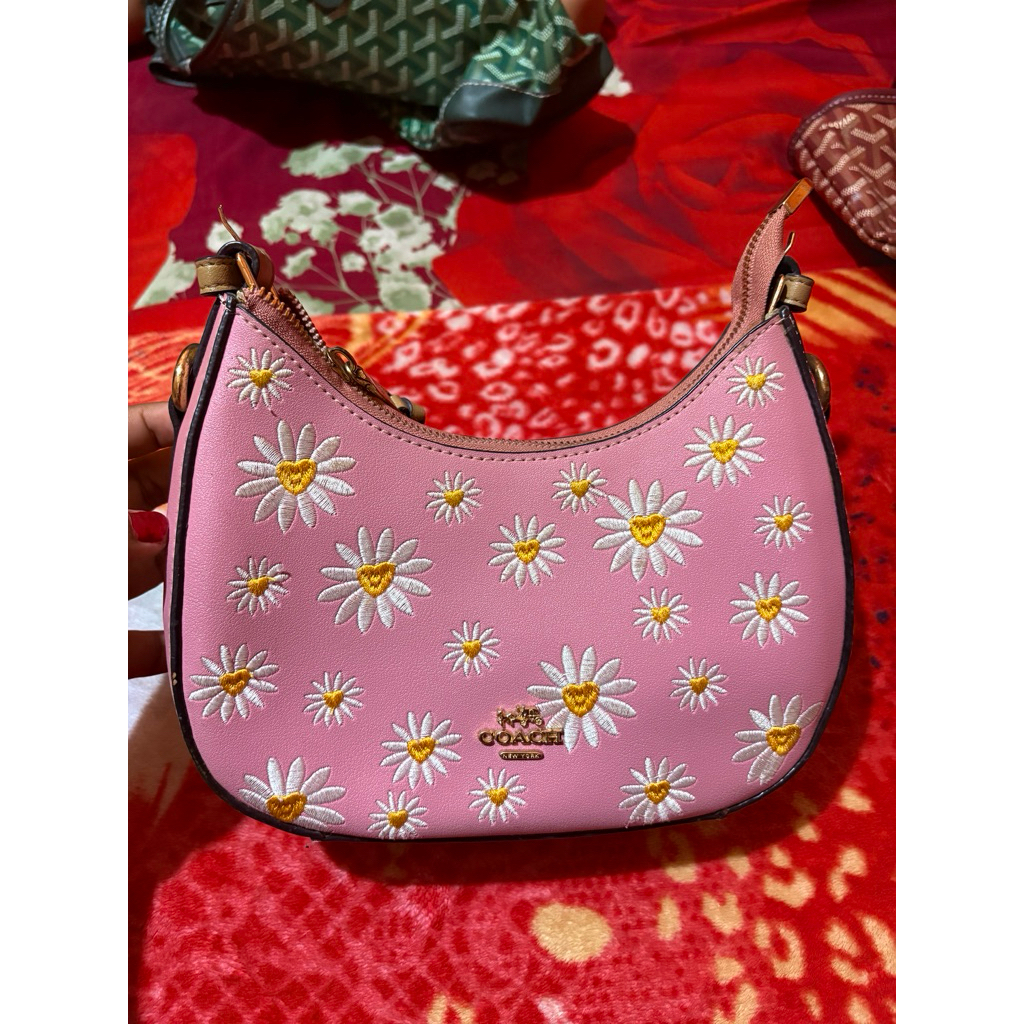 Prelove Tas coach
