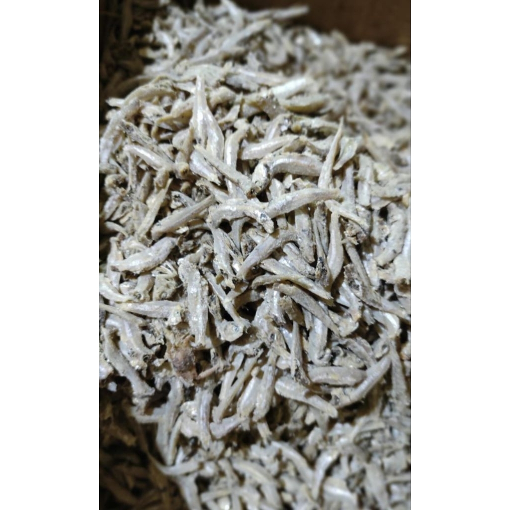 Ikan Teri jengki (teri rebus) fresh