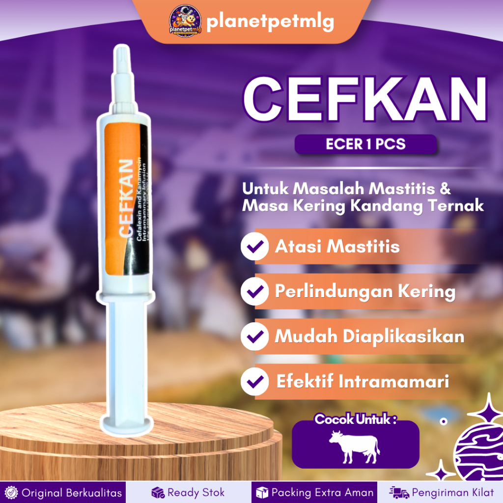 CEFKAN 10 ML - Pengobatan Mastitis Klinis Pada Sapi Perah Menyusui.