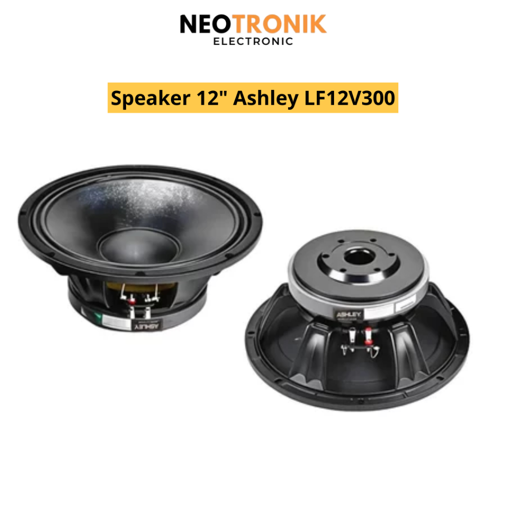 Speaker 12 Inch Ashley LF12V300