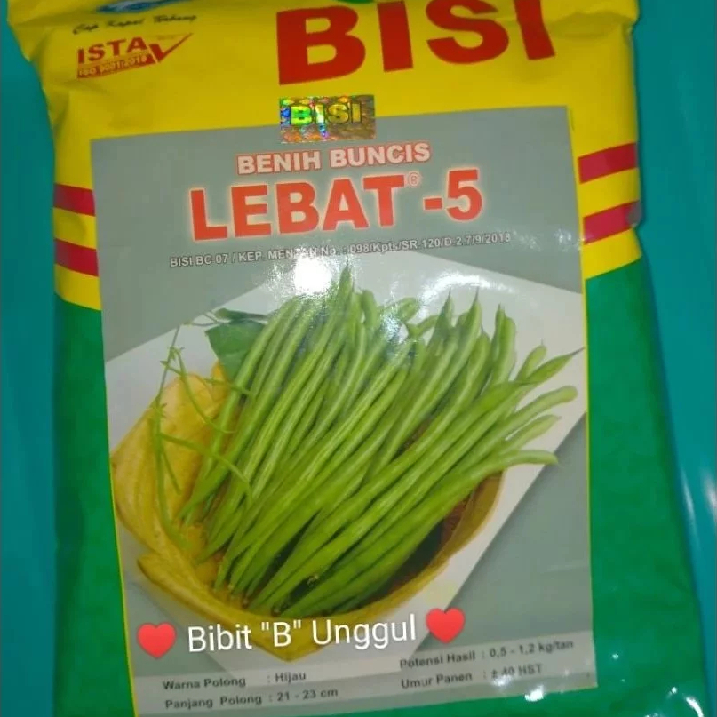 Benih Buncis Lebat 5 500 Gr Cap Kapal Terbang