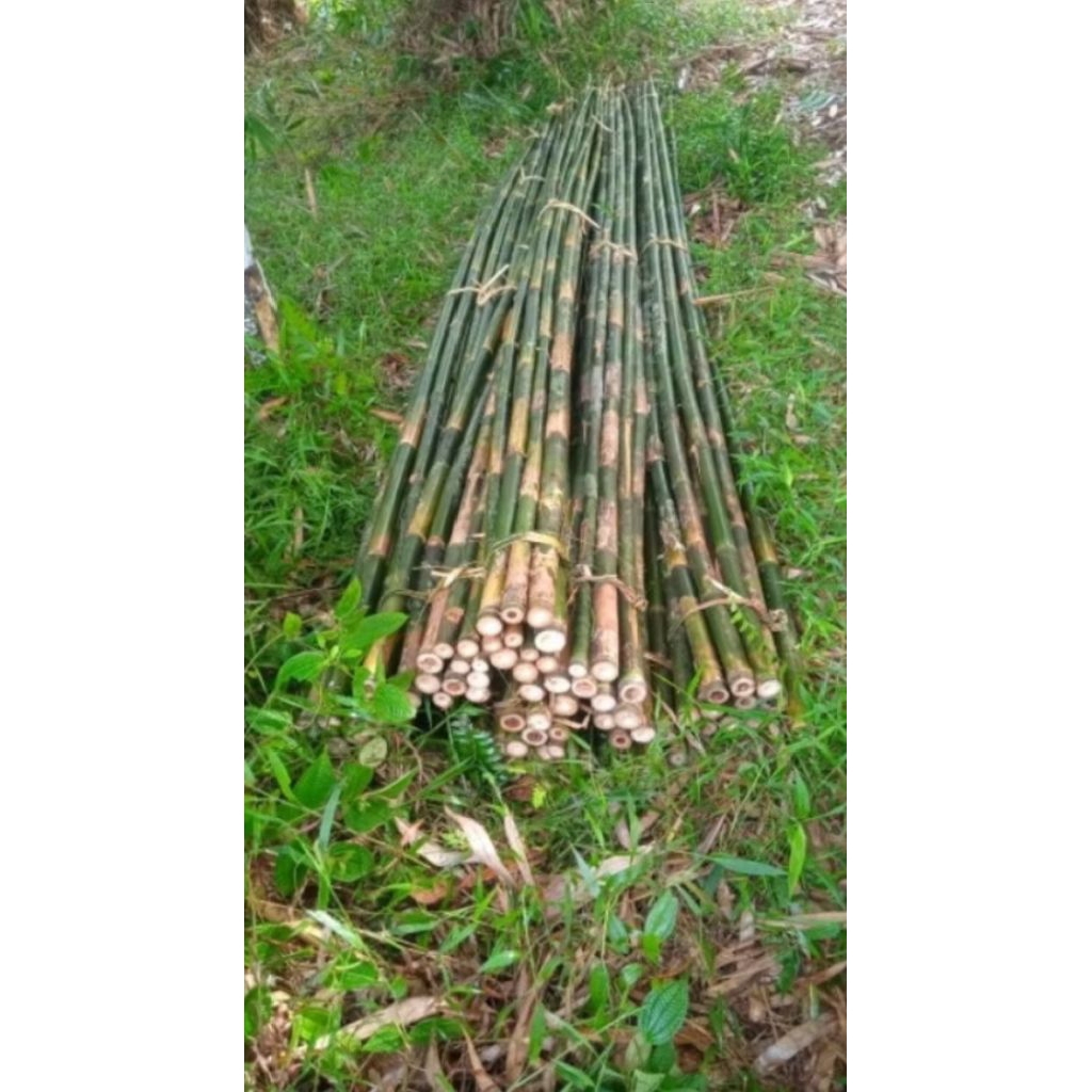 bambu tiang bendera 17 Agustus, ukuran 4 meter